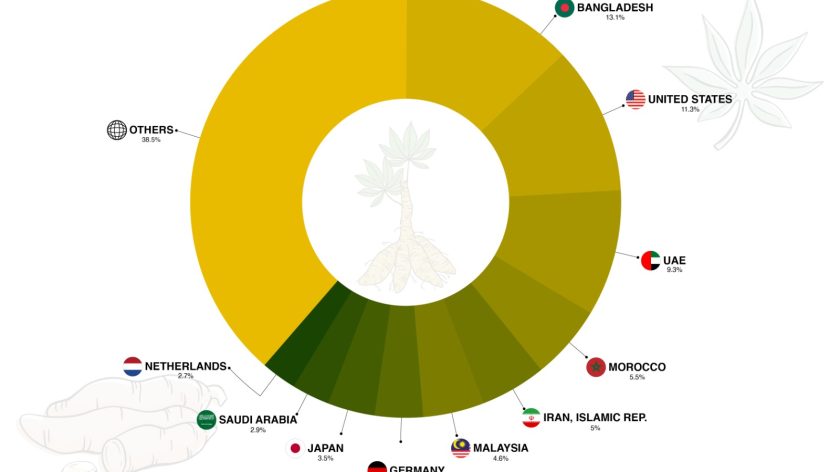 Spicing up the world: Turmeric's Journey from tradition to Global trend